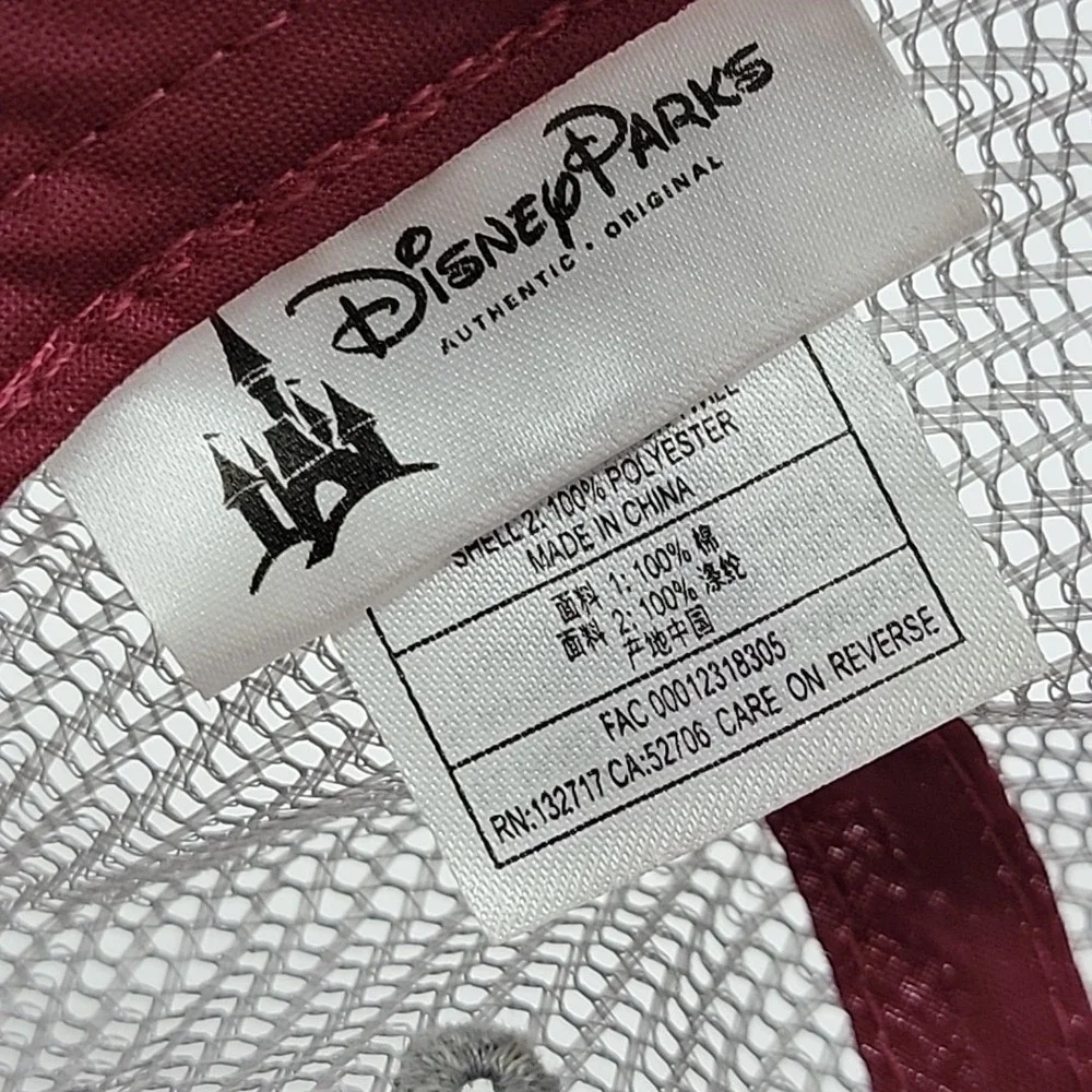 Disney parks mickey